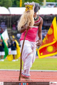 12080083_10154299768974251_1859118209345436734_o